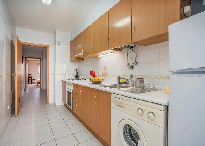 Starfish Da Rocha ポルティマン