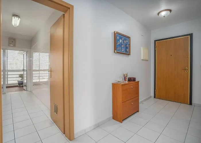 Starfish Da Rocha Portimão